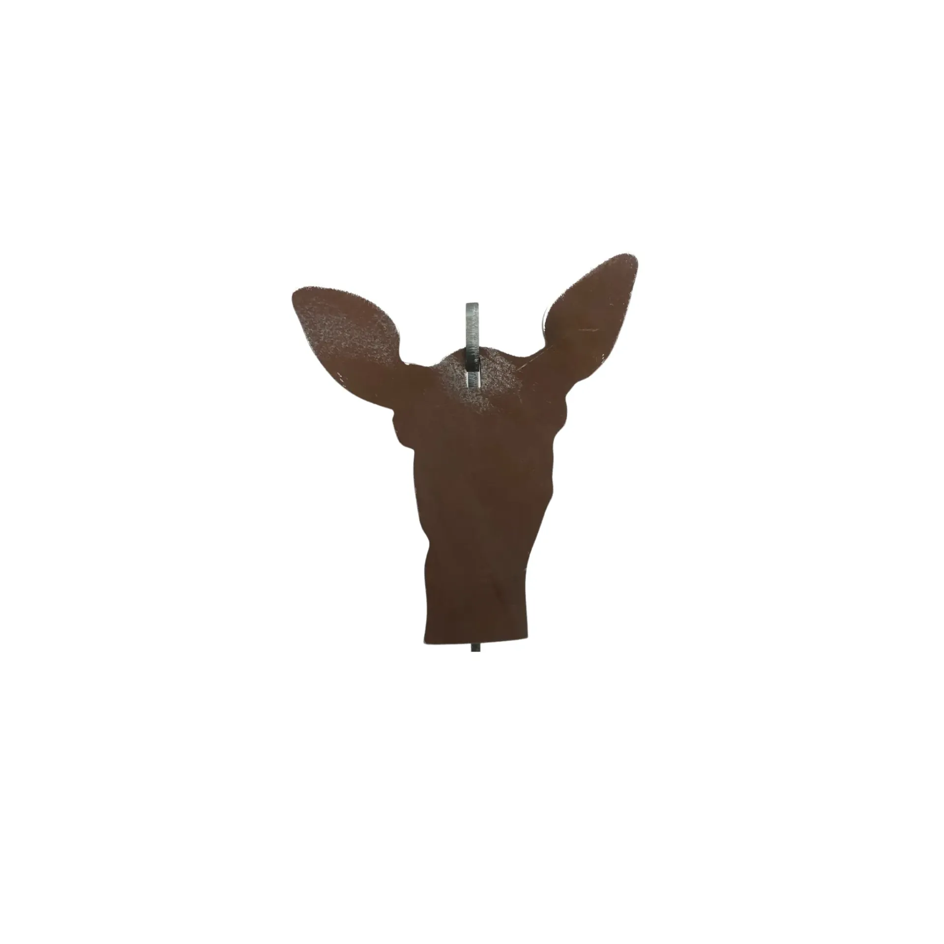 Doe Head