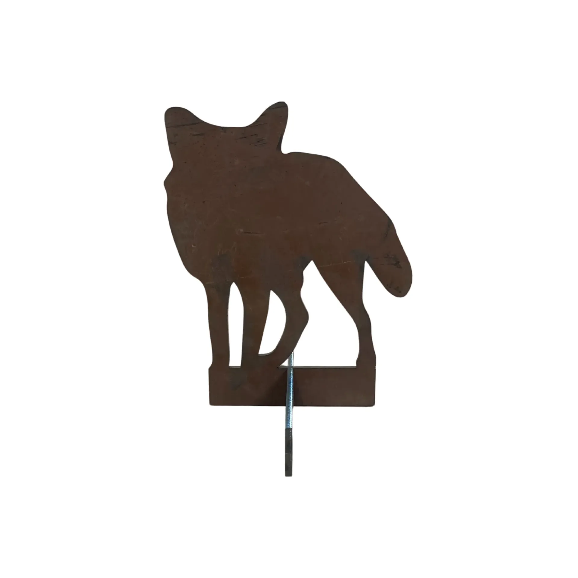 Front Facing Fox