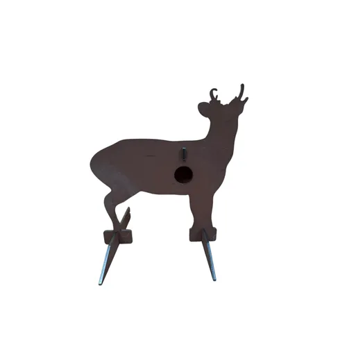 Muntjac
