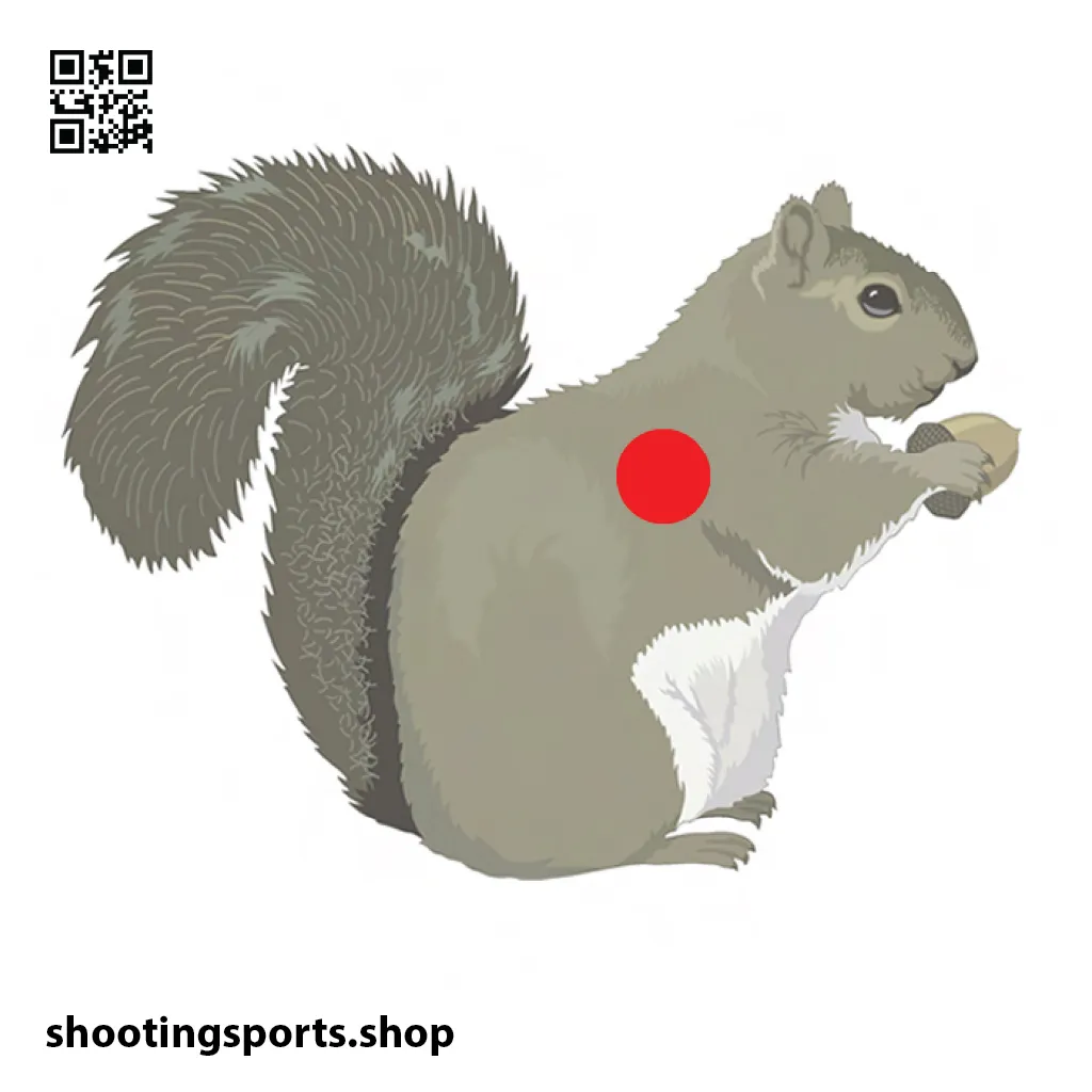 Squirrel Target - Paper 17cm x 17cm Packs